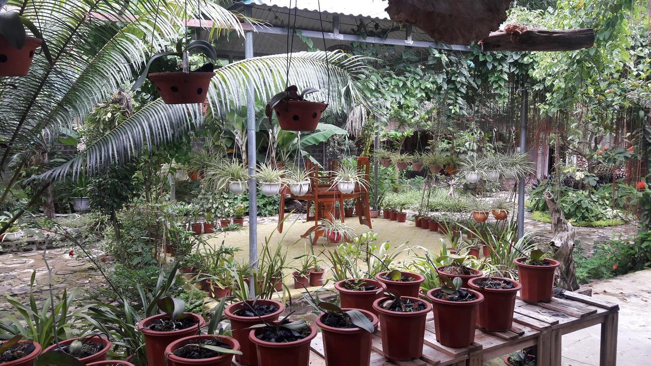 Nghia Lo Homestay Lan Rung المظهر الخارجي الصورة