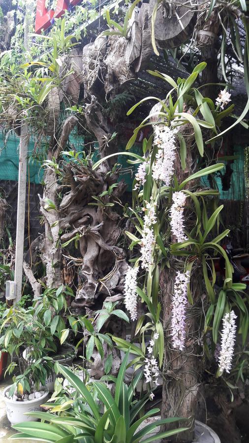 Nghia Lo Homestay Lan Rung المظهر الخارجي الصورة