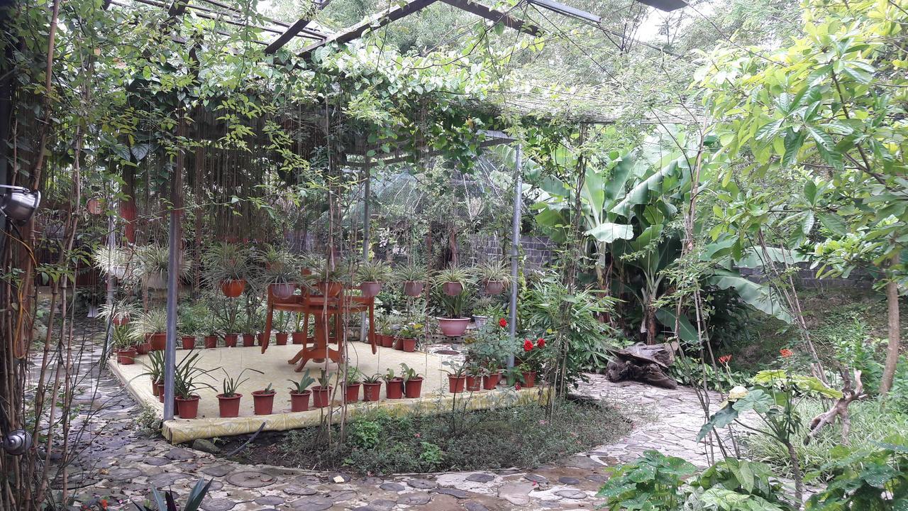 Nghia Lo Homestay Lan Rung المظهر الخارجي الصورة